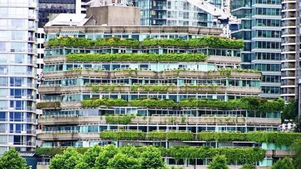 المباني الخضراء -