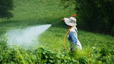 تعرف على إجراءات الحصول على ترخيص للاتجار في المبيدات الزراعية