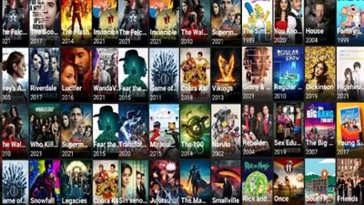 بعد نشر القاهرة 24 ضبط أكبر شبكة قرصنة.. كيف سلطت ACE الضوء على مواجهة مصر للجريمة الإلكترونية؟