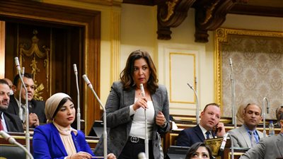 برلمانية تطالب بزيادة الدعم: نصيب الفرد من التموين 3 جنيهات ونصف في اليوم