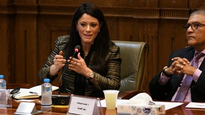 المشاط تلتقي أعضاء لجنة الشؤون الخارجية والعربية والإفريقية بمجلس الشيوخ