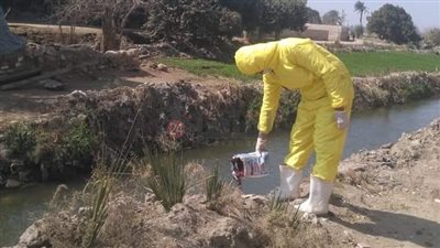 صحة المنيا: فحص 7419 مجرى مائي لمكافحة القواقع المسببة لـ البلهارسيا 