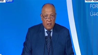  وزير الخارجية: مصر ملتزمة بمواجهة تغيرات المناخ