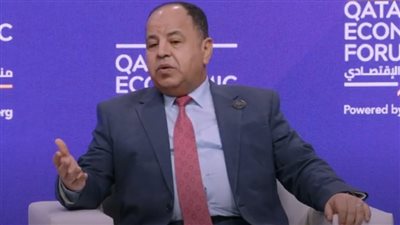 وزير المالية: فتح باب الاقتصاد الأخضر للقطاع الخاص والمؤسسات المالية بمصر