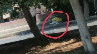 العثور على جثة شاب مطعونًا تحت شجرة في الإسماعيلية