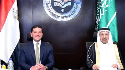 الحكومة: حريصون على إزالة مختلف التحديات أمام المستثمرين السعوديين