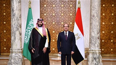 بن سلمان: ندعم الأمن المائي المصري وكل ما تتخذه القاهرة من إجراءات لحمايته