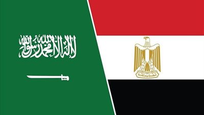  9.1 مليار دولار حجم التجارة بين مصر والسعودية خلال 2021