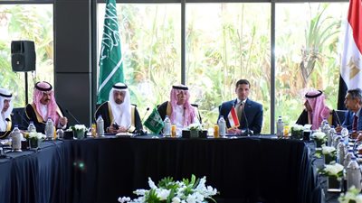 رئيس المناطق الحرة: مدبولي وجه بسرعة حل التحديات التي تواجه الاستثمارات السعودية