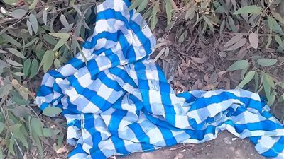 علاقة غير شرعية.. وفاة رضيع بعد العثور عليه في قرية بالمنوفية 