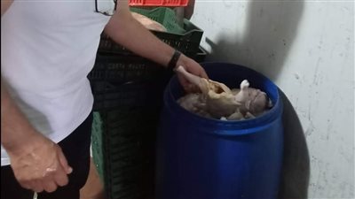 ضبط ربع طن دواجن مجهولة المصدر داخل مخزن تابع لمطعم شهير ببورسعيد 