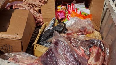 ضبط ربع طن لحوم مجمدة منتهية الصلاحية بسوهاج | صور