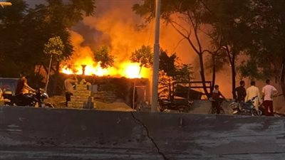 بسبب فرن بلدي.. نفوق 4 رؤوس ماشية في حريق منزلين ببني سويف