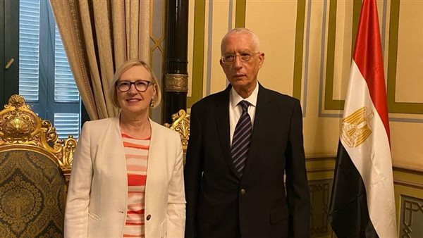 نائب وزير الخارجية