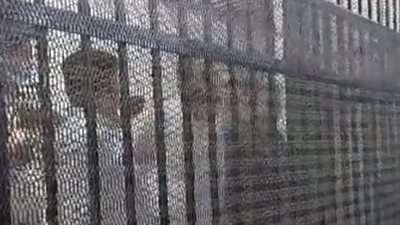 المتهم بقتل نيرة أشرف: قررت أنتقم منها وأقتلها بعد ما هددتني وقالتلي هبعتلك بلطجية يبهدلوك | بث مباشر