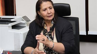 أستاذ اقتصاد: حصر 3.7 مليون منشأة بالقطاع الخاص و1536 بالقطاع العام