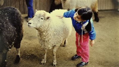 الأضحية عن الميت.. تجوز بشروط وتُكره في هذه الحالة