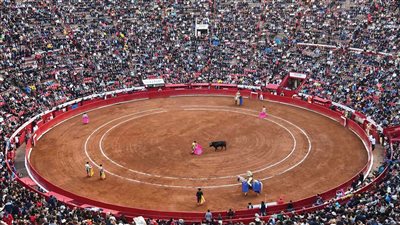 مصرع أربعة أشخاص وإصابة المئات في انهيار منصة مصارعة ثيران بكولومبيا 