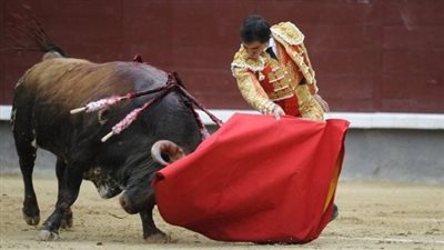 4 قتلى و322 مصابًا في انهيار مدرج خشبي لمصارعة الثيران في كولومبيا | فيديو