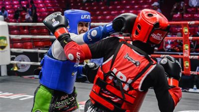 مصر تفوز بتنظيم البطولة الإفريقية للفنون القتالية المختلطة