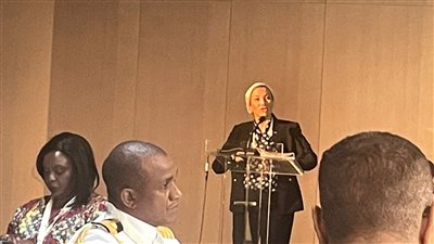 وزيرة البيئة تعرض تحضيرات مؤتمر المناخ أمام لجنة رؤوساء دول وحكومات إفريقيا | صور 