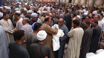 ضربه بالفأس على رأسه.. القودة تنهي خلافا ثأريا بين آل نصر وآل حفني بالأقصر | صور