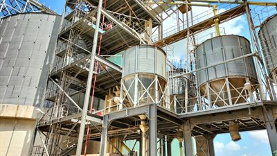 محافظ الإسكندرية: توريد 93 ألف طن قمح إلى الصوامع منذ بداية الموسم