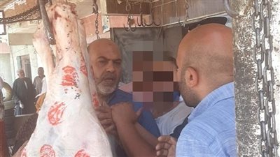 ضبط 11 ألف عبوة مبيد حشري مجهولة المصدر و500 كجم أسماك بالمنوفية