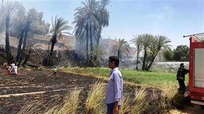 اندلاع حريق بعدد من الأشجار بطريق القاهرة الإسكندرية.. والحماية المدنية تسيطر عليه