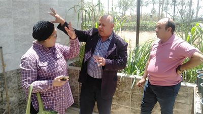 توفر في استخدام الأسمدة.. الزراعة تبتكر طرق جديدة لتقليل تكاليف مدخلات الإنتاج