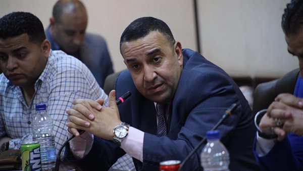 الكاتب وائل لطفي