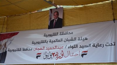 محافظ القليوبية يشهد الاحتفال بالذكرى التاسعة لثورة 30يونيو ببنها