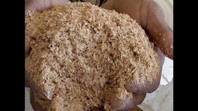 الزراعة: تم ضبط حالات إخفاء لأعلاف من بعض التجار| فيديو