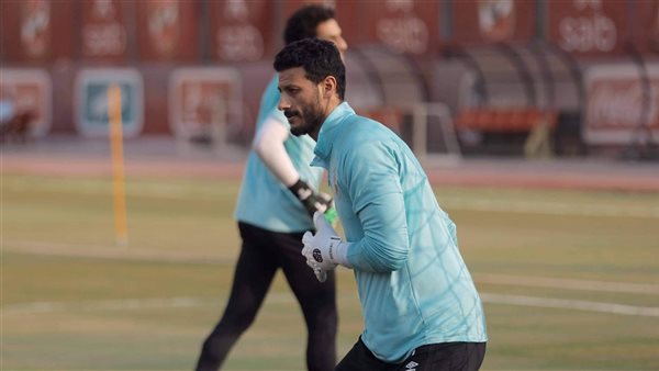 محمد الشناوي 