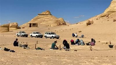 بدء أعمال صيانة وترميم متحف وادي الحيتان المفتوح بالفيوم