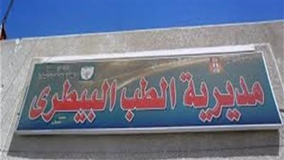 وقف إجازات أطباء التفتيش.. بيطري الأقصر تكثف استعداداتها لاستقبال عيد الأضحى 