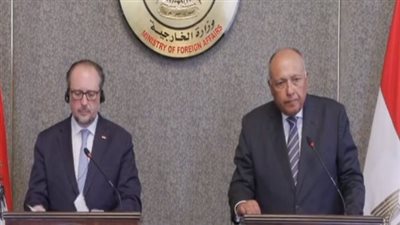 وزير خارجية النمسا: ندعم مصر بالحصول على حصتها المائية.. ولا يحق لدولة بعينها احتلال مياه النيل