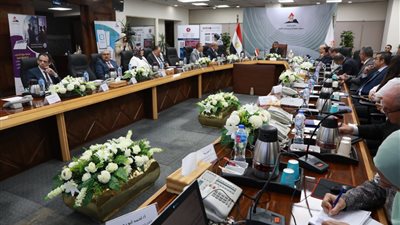 وثيقة ملكية الدولة.. مطالب بزيادة مشاركة القطاع الخاص في تصنيع السفن وإطارات السيارات