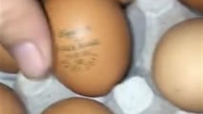 بعد تخطي الكرتونة سعر الـ75 جنيهًا.. الغرف التجارية تطالب بطباعة تاريخ الإنتاج على البيض