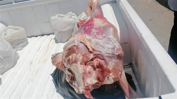 جانب من المضبوطات