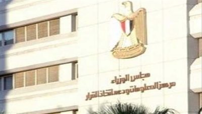 خلال ورشة عمل مركز المعلومات.. خبراء: الدولة توسعت بمشروع البتلو بـ7 مليارات جنيه