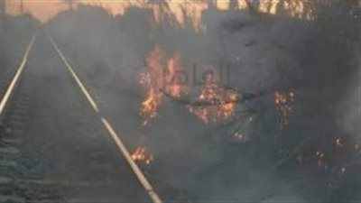 سائق ومساعده ينقذان قطار القاهرة - الزقازيق من نشوب حريق | صور 