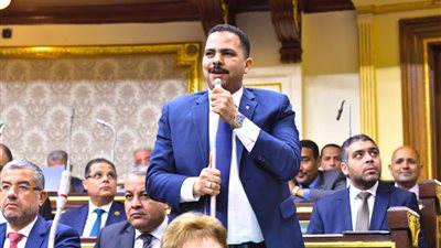 أشرف رشاد: الأغلبية داخل البرلمان مستعدة لتلقي أي تعديلات من الحوار الوطني