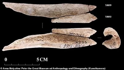 اكتشاف قلادات مصنوعة من عظام البشر..والعلماء يتوقعون: صانيعوها من أكلي لحوم البشر 