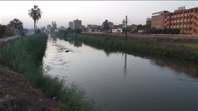 مصرع شاب غرقا في ترعة الإبراهيمية ببني سويف 