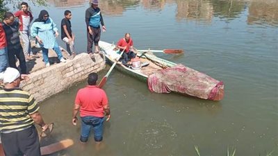 الاستعداد لإلقاء مليون زريعة أسماك بلطي بنيل قنا.. والمحافظ: تحقق الاكتفاء الذاتي