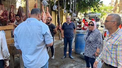 الإسكندرية: ضبط 972 حالة إشغال وتحرير 820 محضرًا قبل عيد الأضحى