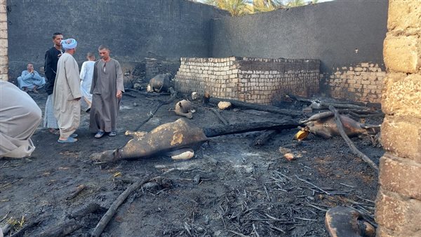 جانب من الحريق 