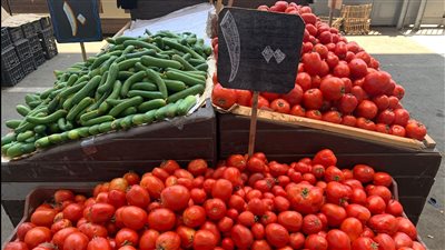 الطماطم بجنيه.. انخفاض كبير في أسعار الخضروات خلال عيد الأضحي ببورسعيد | صور وفيديو