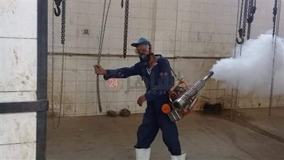تطهير وتعقيم 41 مجزرًا وسلخانة بالمنيا استعدادًا لعيد الأضحى